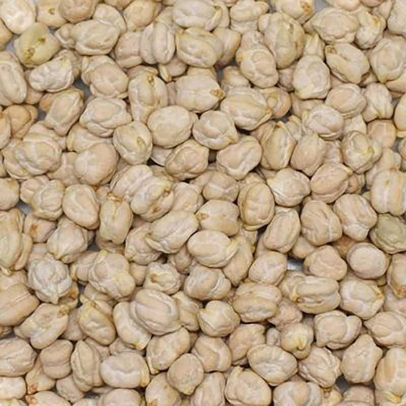 Başhan x 3 Adet Kabak Nohut ( 12 mm )