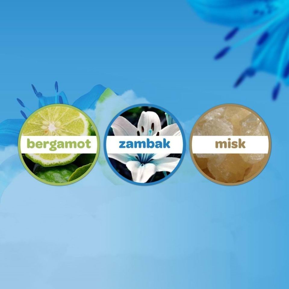 Dalin x 4 Adet Deniz Esintisi Bebek Kolonyası 150 ml